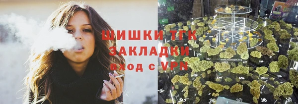 дмт Елабуга