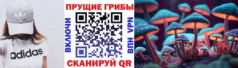 Галлюциногенные грибы Cubensis  Купить где  Бологое 